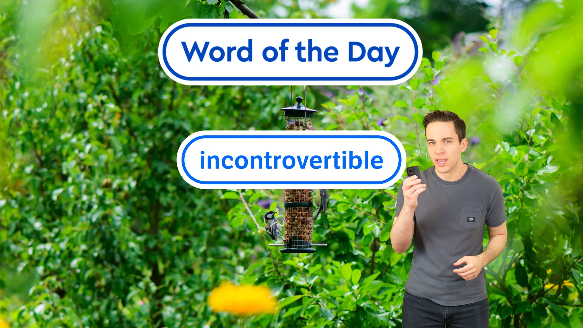 A recent Word of the Day.